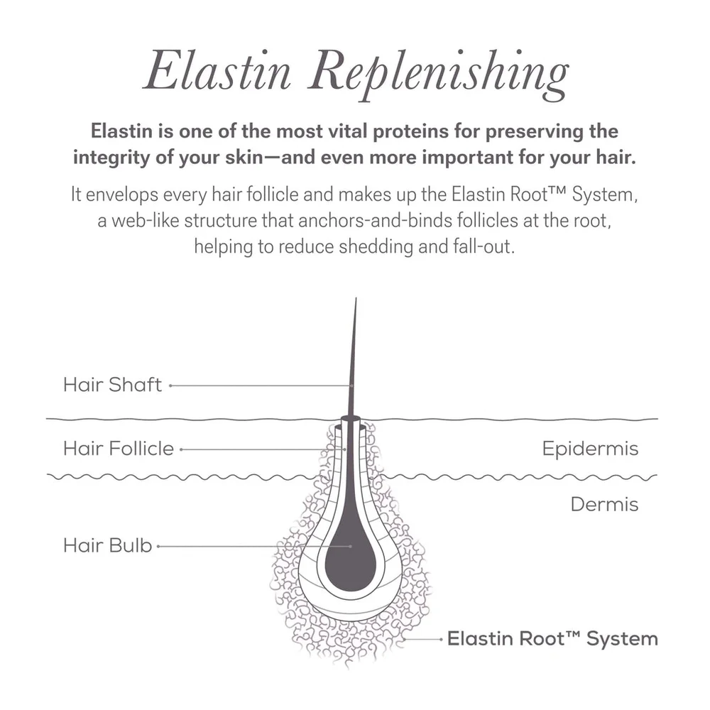 Nulastin FULL SIZE Lash Follicle Fortifying Serum